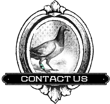Contact Us Contact Us